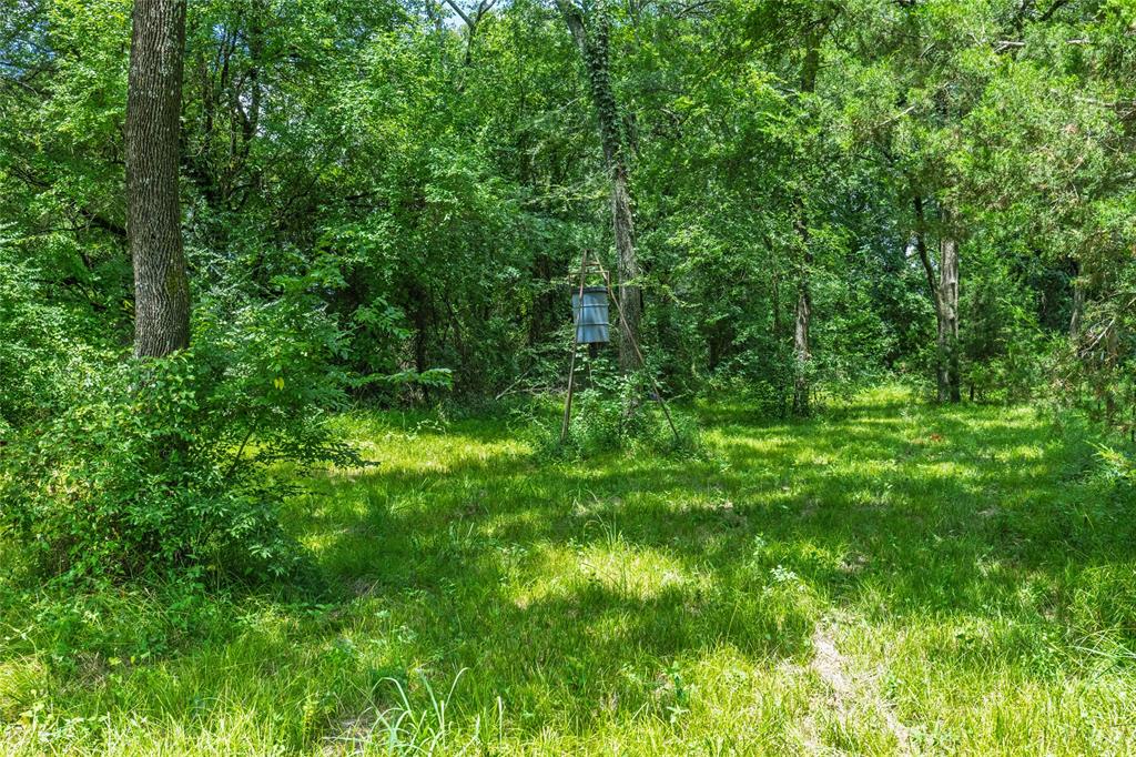 Phineas P Woodberry Surv Abs # - Residential