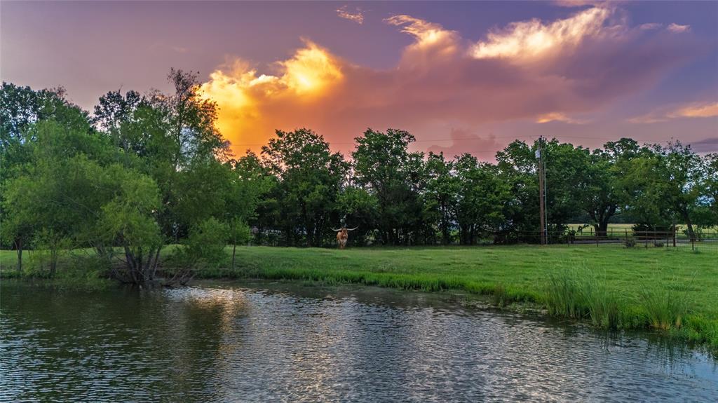 Phineas P Woodberry Surv Abs # - Residential