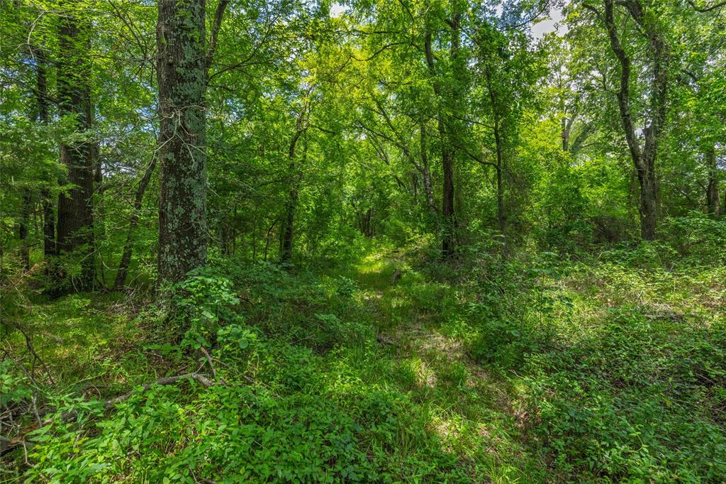 Phineas P Woodberry Surv Abs # - Residential