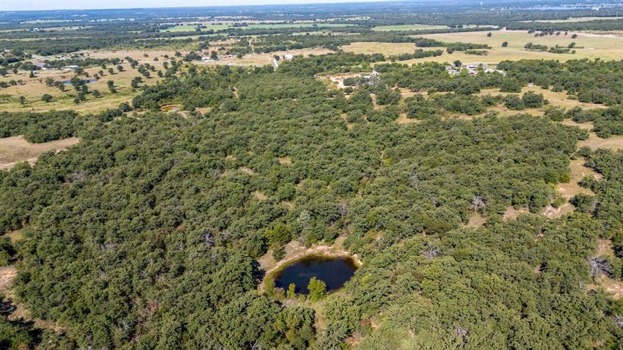 This exceptional 145± acre AG-exempt property in Wise County offers the perfect setup for a working cattle ranch, weekend retreat, or established deer lease. The land features a great mix of open pasture and wooded coverage, ideal for both livestock and wildlife.
With three ponds, a private water well, and electricity already on site, much of the groundwork has been completed bring your herd, RV, or hunting gear and start enjoying it right away. The property’s diverse terrain provides natural grazing areas, shaded cover, and multiple potential build sites for a home, cabin, or barn.
Abundant Whitetail deer and turkey make this a hunter’s dream, while the open pastures and fencing make it ready for cattle or horses. Its elevated landscape provides beautiful long-range views and excellent drainage throughout.
Conveniently located with easy access to nearby towns, this property delivers the best of both worlds quiet country seclusion with everyday accessibility. Whether you’re looking to run cows, hunt, or build, this Wise County acreage has the versatility and potential you’ve been searching for.