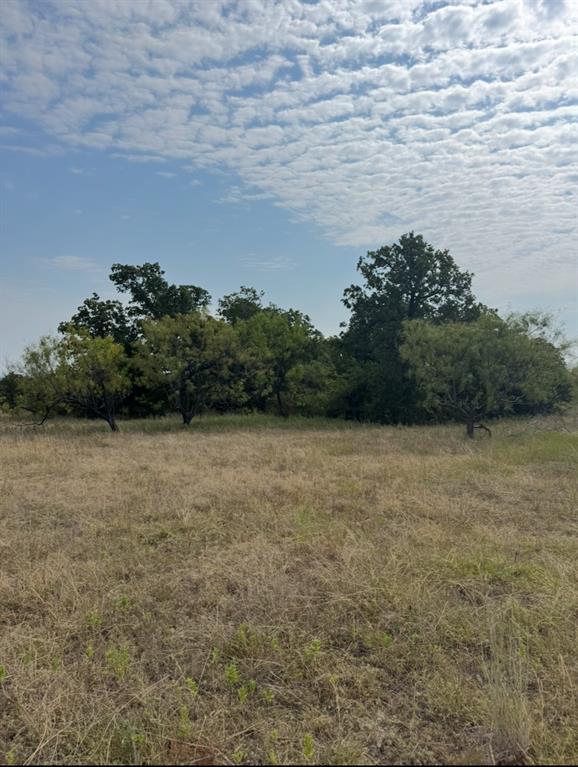 (SBRA) SBR Rural Abst - Farm