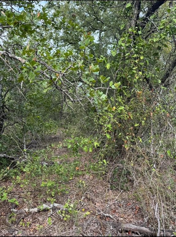 (SBRA) SBR Rural Abst - Farm