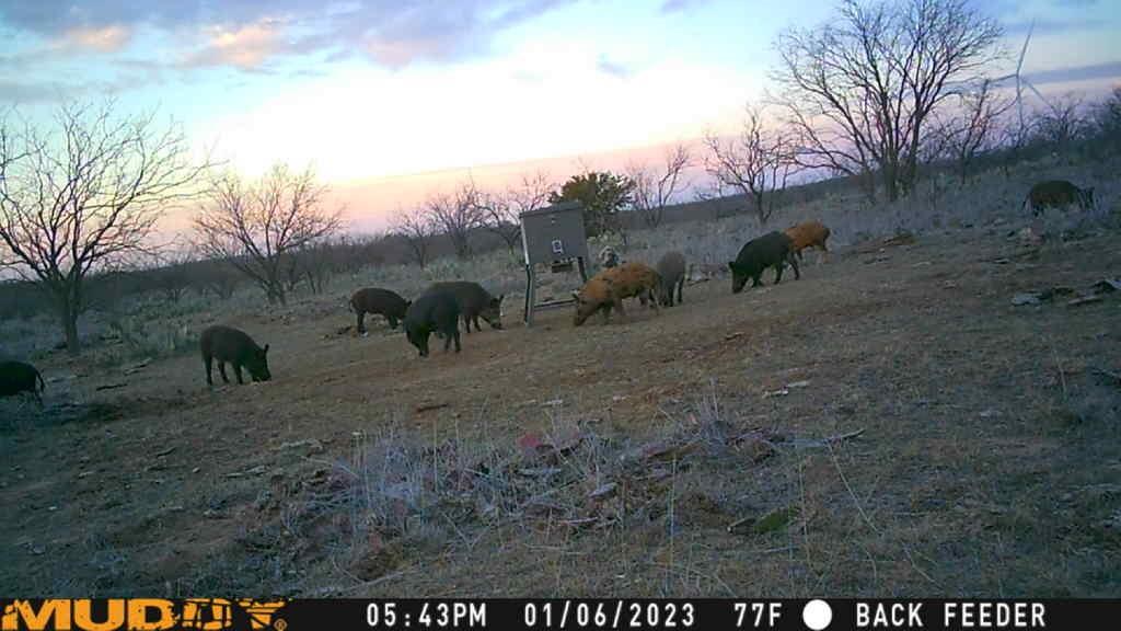 Bayland Orphan Homes Lands Sur - Farm