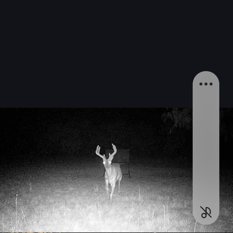 Bayland Orphan Homes Lands Sur - Farm