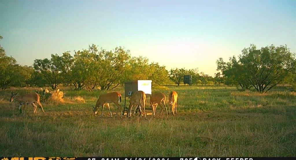 Bayland Orphan Homes Lands Sur - Farm