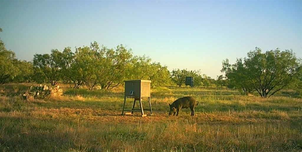 Bayland Orphan Homes Lands Sur - Farm
