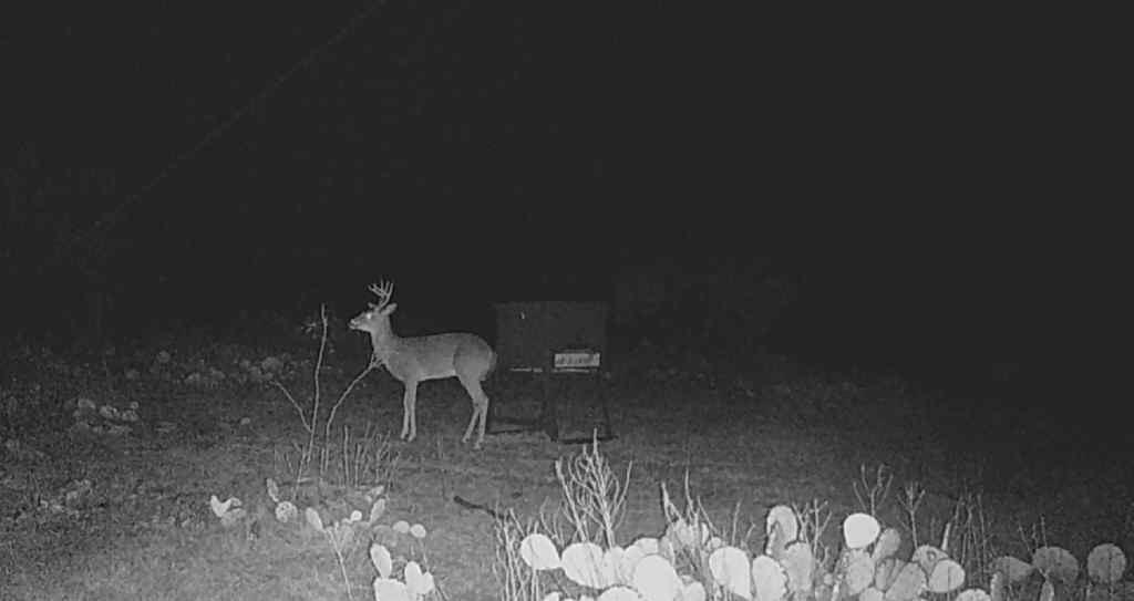 Bayland Orphan Homes Lands Sur - Farm