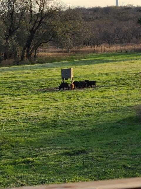 Bayland Orphan Homes Lands Sur - Farm