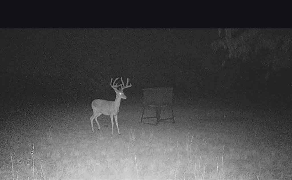 Bayland Orphan Homes Lands Sur - Farm