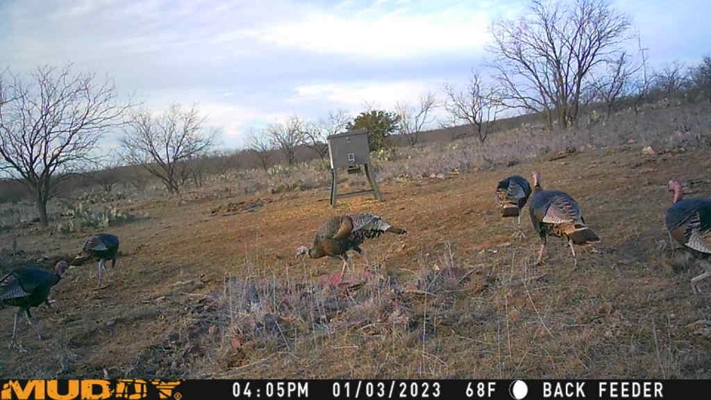 Bayland Orphan Homes Lands Sur - Farm