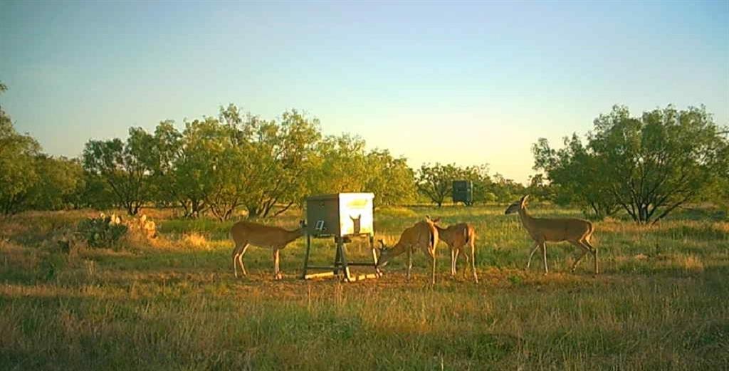 Bayland Orphan Homes Lands Sur - Farm