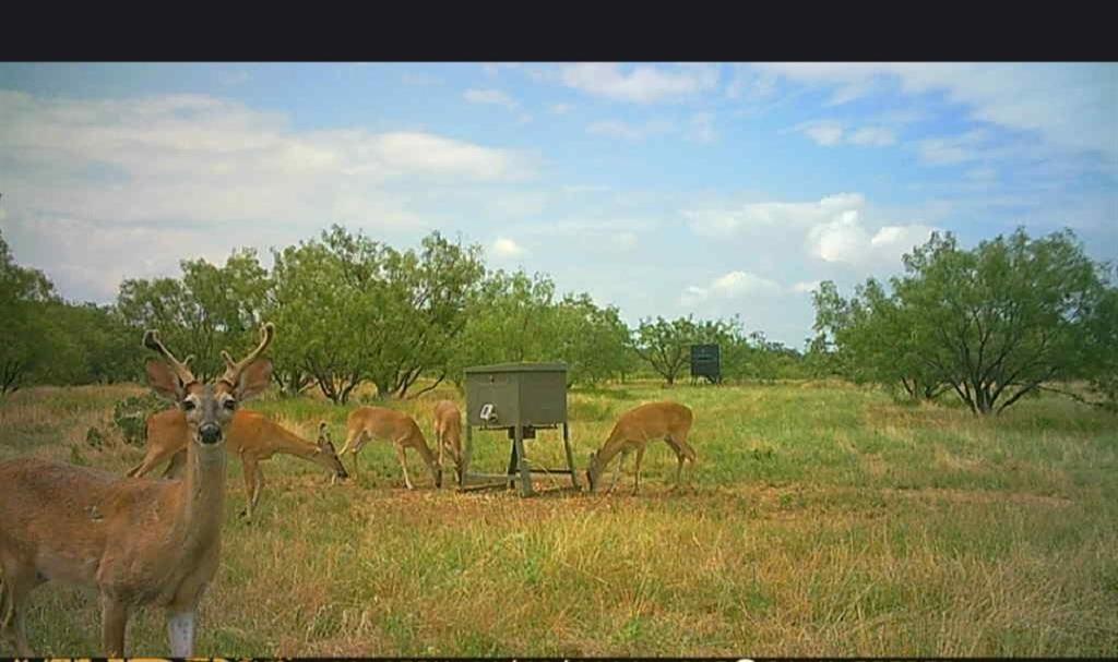 Bayland Orphan Homes Lands Sur - Farm