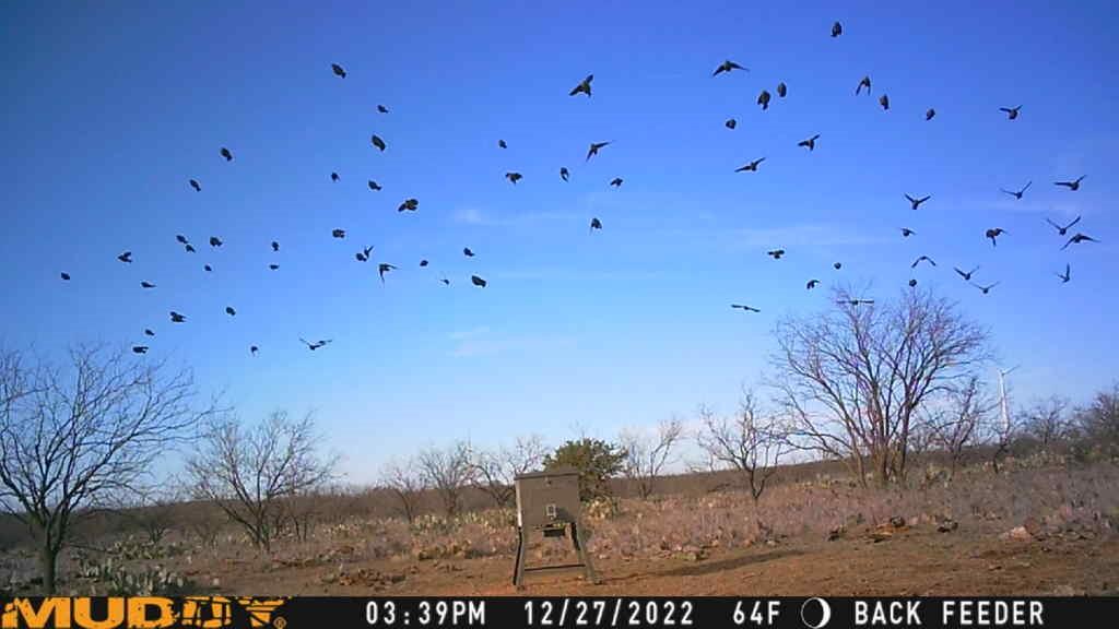 Bayland Orphan Homes Lands Sur - Farm