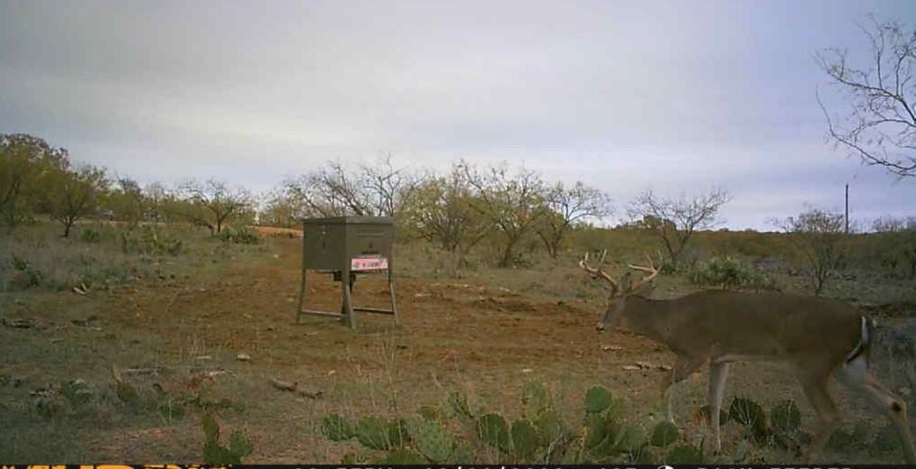 Bayland Orphan Homes Lands Sur - Farm