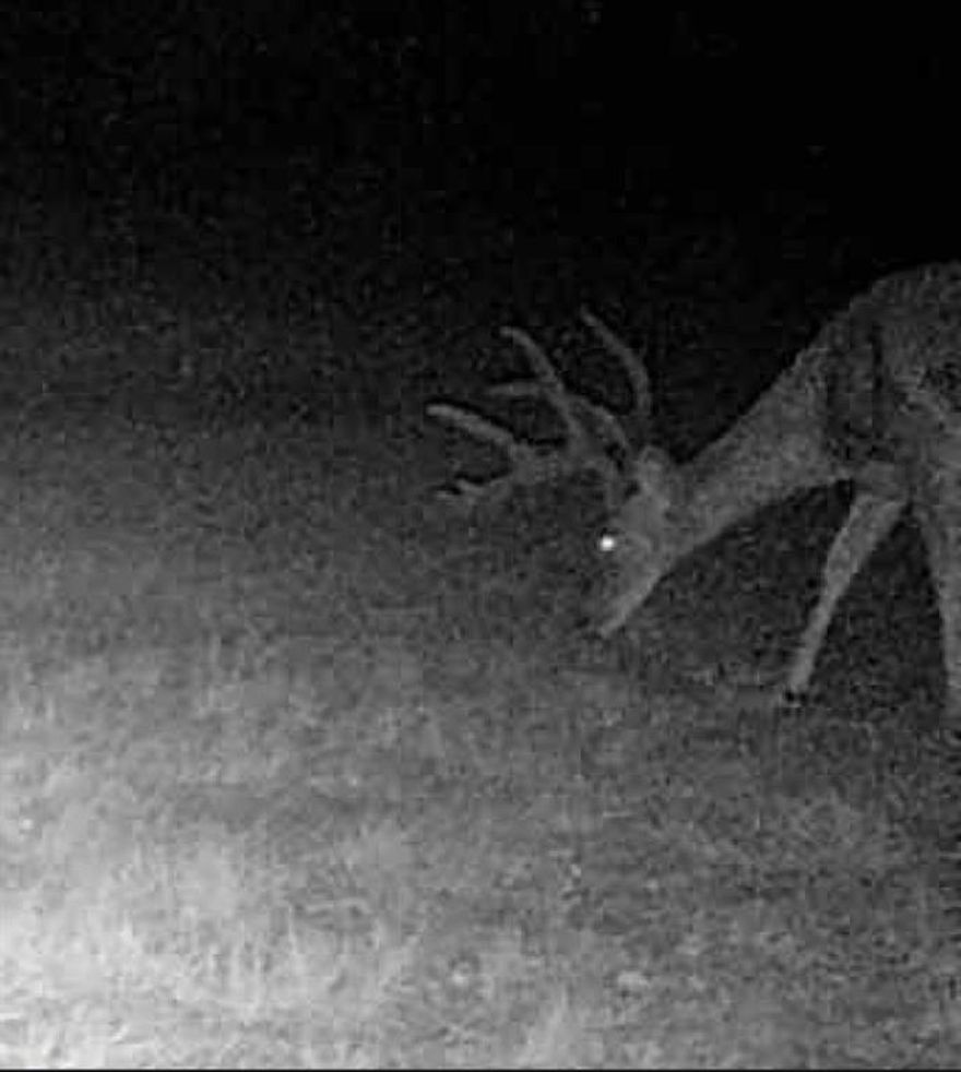 UPDATE and PRICE IMPROVEMENT! Don’t miss this outstanding opportunity to own a versatile recreational property ready for outdoor enjoyment. Ideal for hunting, weekend escapes, or unplugging from city life, the property supports abundant wildlife including deer, turkey, hogs, and more.

The land is fully fenced and features a spring-fed pond that has never gone dry. The land offers a well-balanced mix of open areas and a blend of mature mesquite and other native trees, creating excellent habitat without being overgrown. Enjoy riding ATVs, hunting, or simply spending quiet time with family and friends! No city lights allowed! 

A 200-amp electric service is already in place, making the property ready for immediate use or future improvements. Conveniently located approximately 40 miles east of Abilene and less than two hours from Fort Worth, this property delivers accessibility without sacrificing the outdoor experience. Survey available.