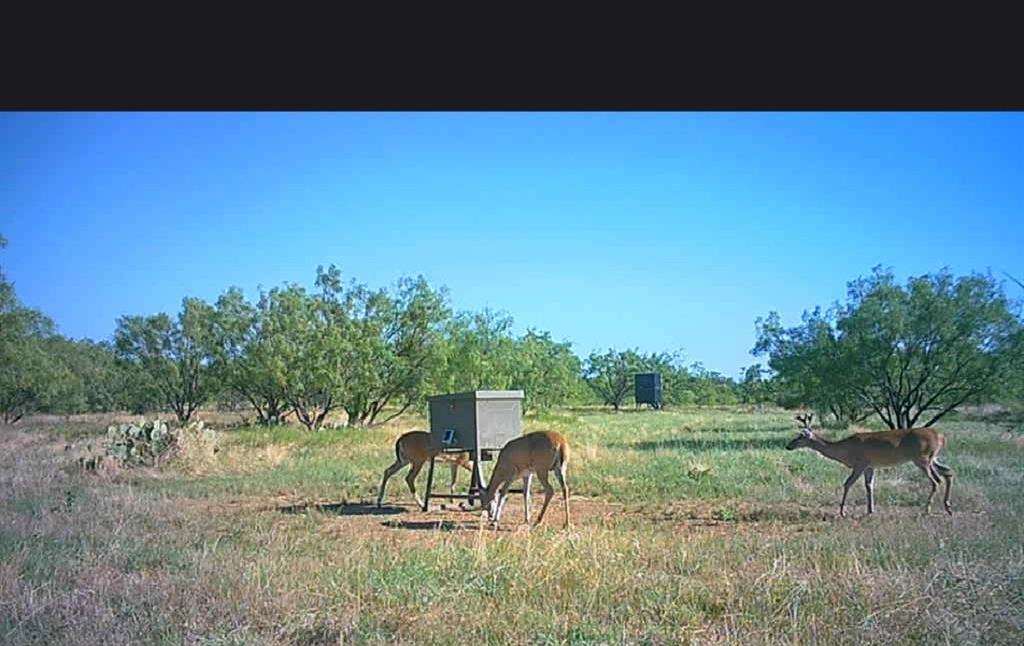 Bayland Orphan Homes Lands Sur - Farm