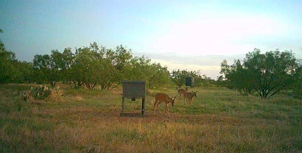 Bayland Orphan Homes Lands Sur - Farm