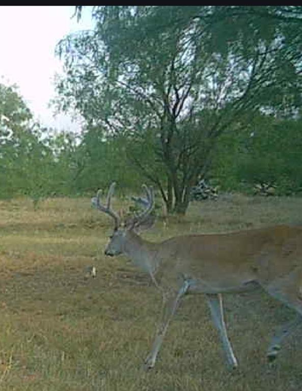 Bayland Orphan Homes Lands Sur - Farm