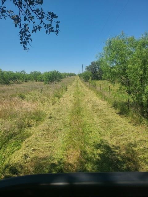 Bayland Orphan Homes Lands Sur - Farm
