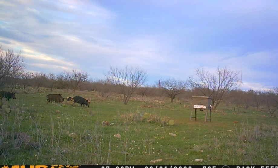 Bayland Orphan Homes Lands Sur - Farm