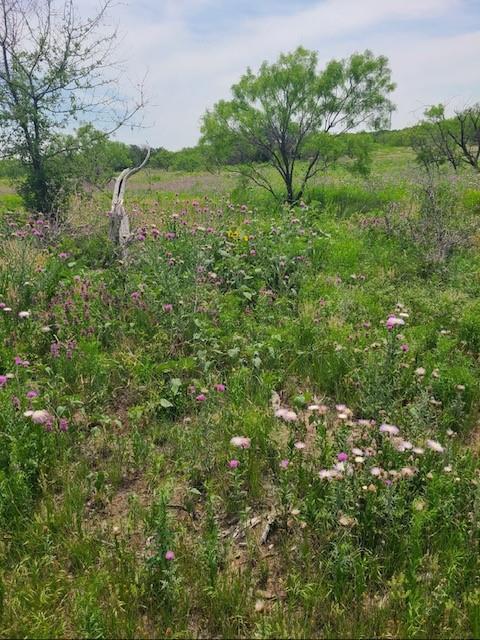 Bayland Orphan Homes Lands Sur - Farm
