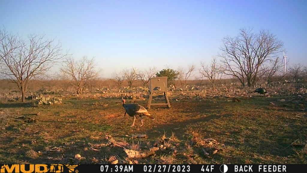 Bayland Orphan Homes Lands Sur - Farm