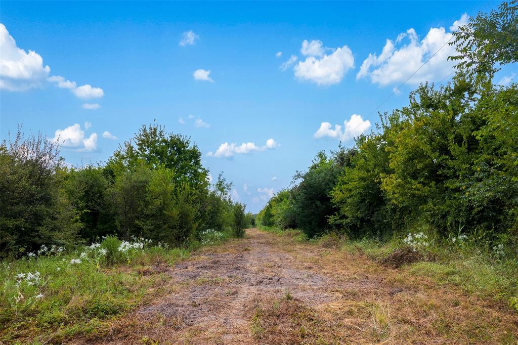 A030G P Varela-Groesbeck - Land