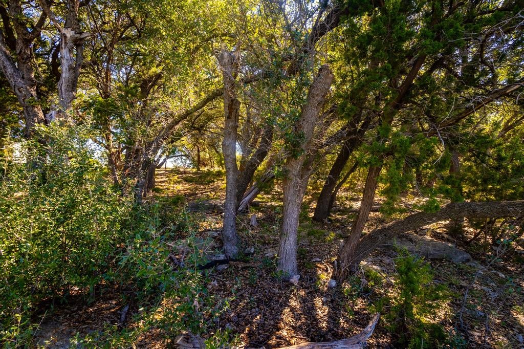 3500 Hog Bend 88
