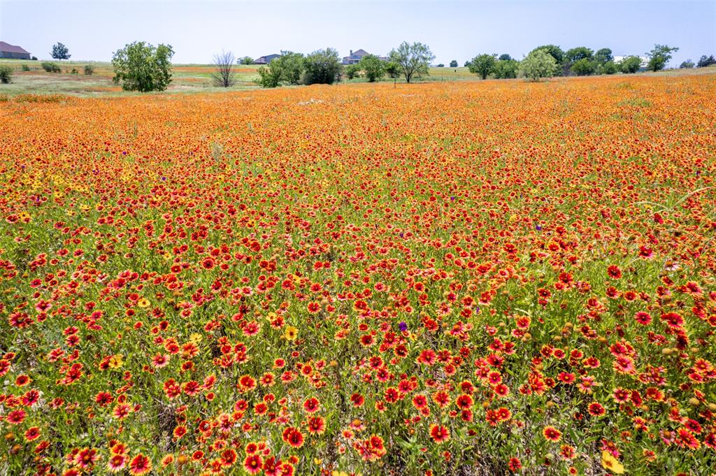 Lakeridge Ranches - Land