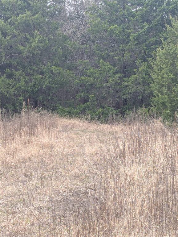 17454 County Road 663