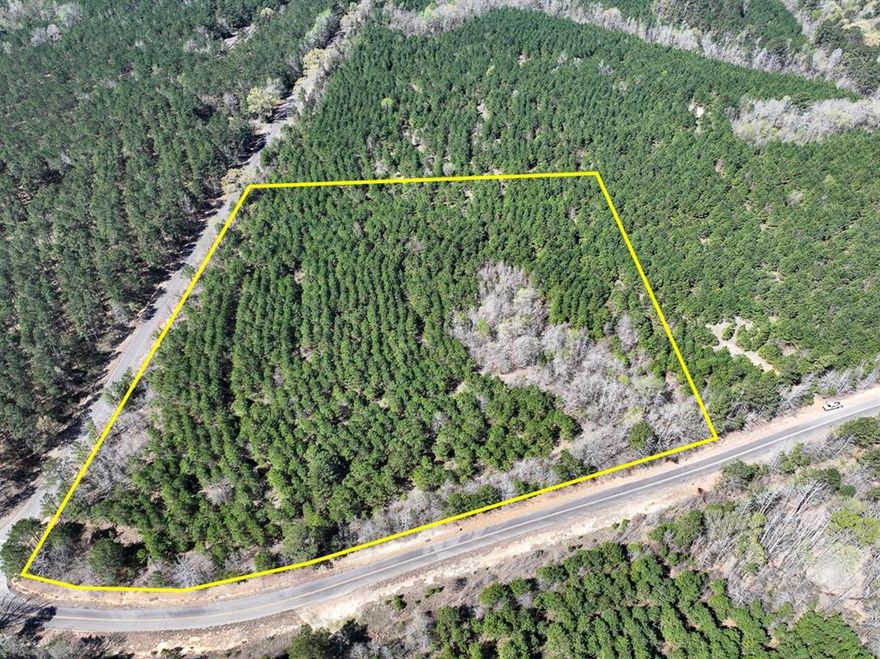 This first time open market offering is situated in the quiet village of Rodessa, Caddo Parish, Louisiana. Historically managed timber tracts currently planted in varying ages of pre-merchantable pine plantations (2014-2016). Attractive size and shaped tracts offer high recreational residential value and privacy. Tracts vary in size from 8 to 81 acres. Easily accessed from low traffic blacktop roads. Good topography and drainage. Located close to the borders of Texas, Louisiana and Arkansas. Electricity available along United Gas Road 1 and Rodessa State Line Road (LA 168 CR 4561).