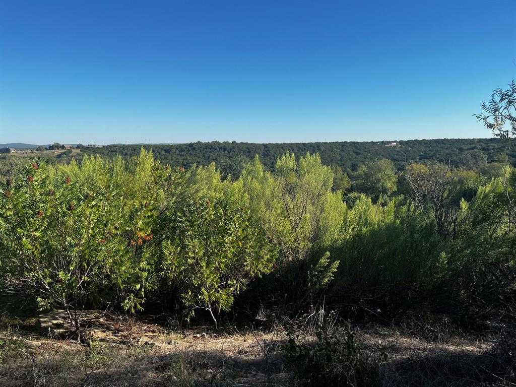 Lot 297 Shooting Star Court