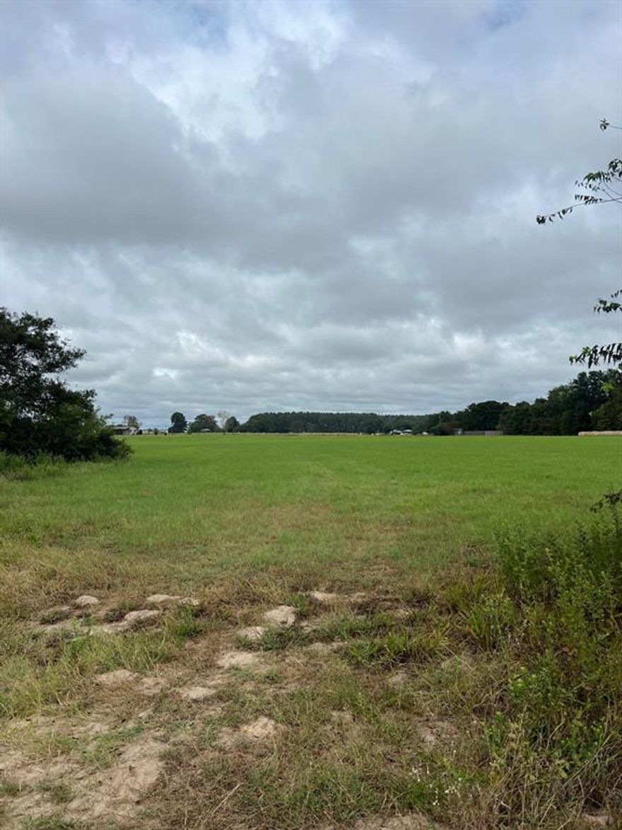 Beautiful level lot in Lindale School District! Perfect lot to build your home or homes! Located in the country but just minutes to schools and shopping! Mobile home restricted. If you need additional land, see listing for 14044 CR 4122, Lindale.