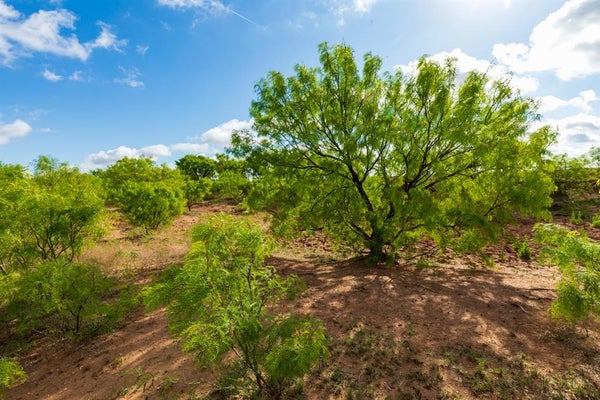 604 FARM TO MARKET RD 600, HASKELL, TX 79521 - Image a554d8a2294d83a838eef3d2314d8eca/3899678163