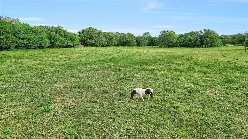 De Los Santos G - Land