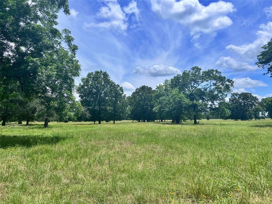This 277 plus or minus acre property in Delta County, Texas offers a great mix of open space, privacy, and functionality. It features excellent native grass for grazing or hay production, mature pecan trees for harvesting, and good deer hunting. The land is perimeter and cross-fenced, and sits on a dead-end county road with road frontage on two sides.  One bedroom is a concrete safe room.  Large kitchen with two dining areas. Wood-burning brick fireplace. Screened-in back porch for relaxing.  Detached 24x30 shop.