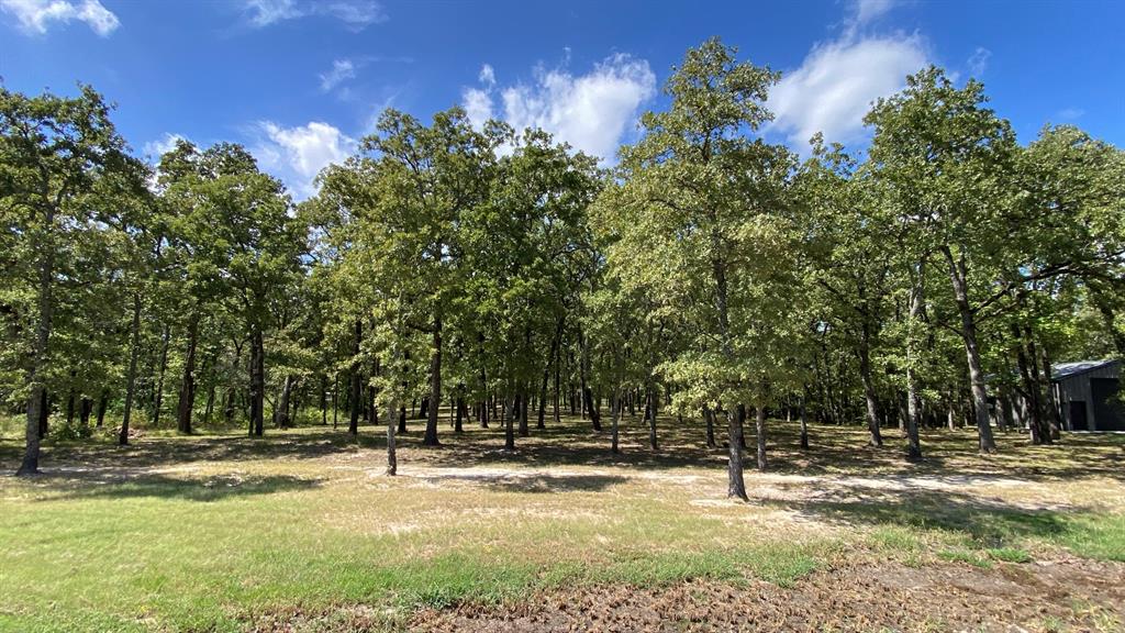 Nautical Shores Ph1 - Land