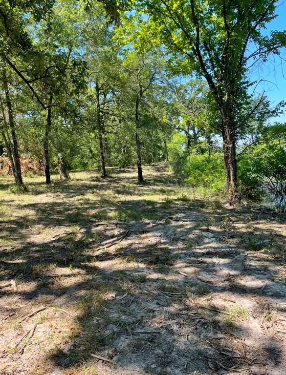 Nautical Shores Ph1 - Land