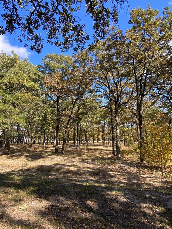 Nautical Shores Ph1 - Land