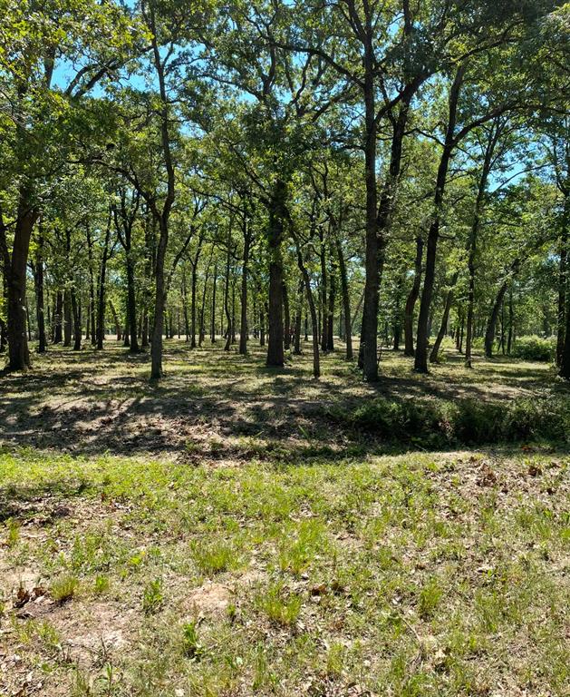 Nautical Shores Ph1 - Land