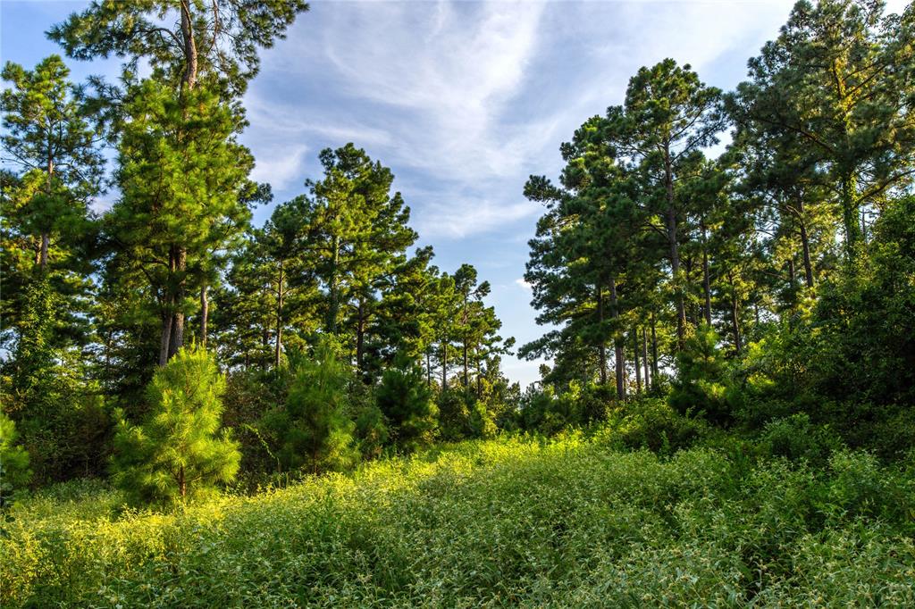 Tract 11 County Road 4222