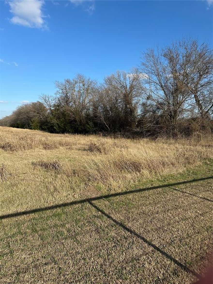 OPEN PASTURE LAND. PROPERTY CURRENTLY USED FOR COSTAL BERMUDA HAY CROP.   PARTIALLY FENCED.   CREEK WITH TREES ,   THREE SIDES OF PAVED AND ROCK COUNTY ROAD FRONTAGE.  WATER AND ELECTRICITY TO PROPERTY. DEER AND DOVE HUNTING. PROPERTY TAX ID #39763 & PROPERTY TAX ID# 39718  TOTAL 155 AC. SELLER KEEPING 15 ACRES OF CEMETERY.