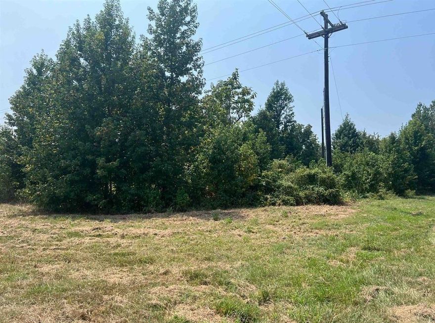 A beautiful corner lot at just the right size and located in Harts Bluff ISD! Water & electricity available!