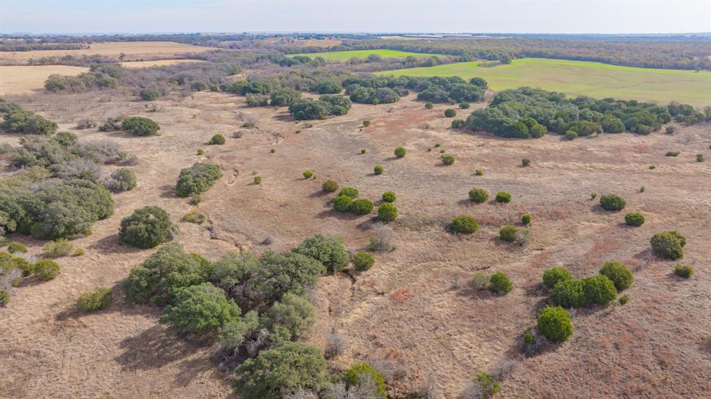 DISNEY RICHARD - Farm