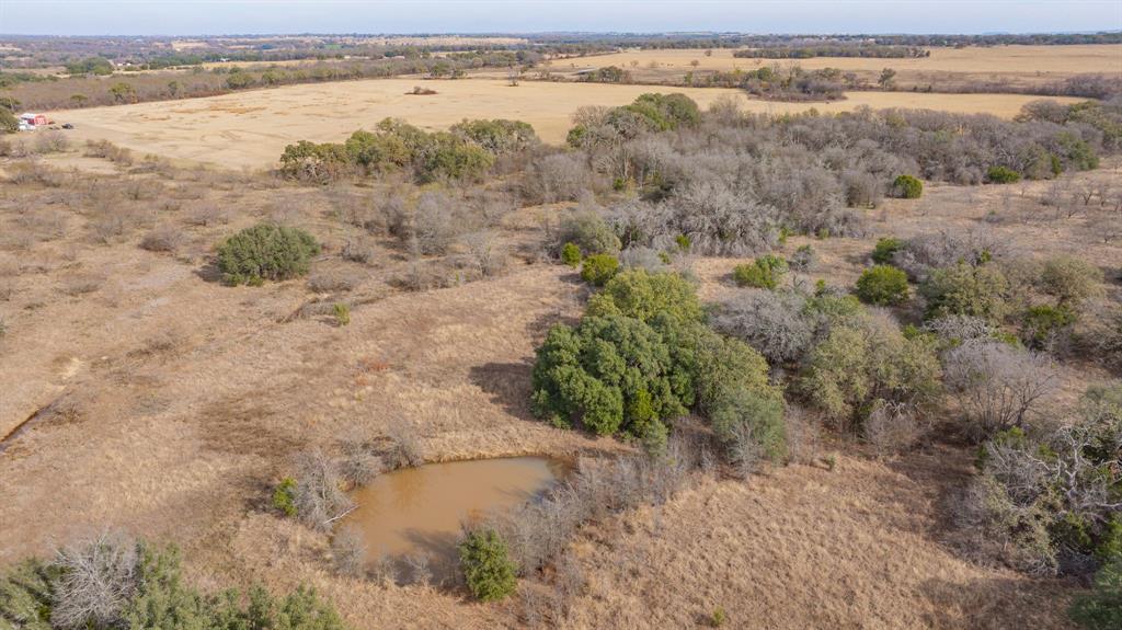 DISNEY RICHARD - Farm