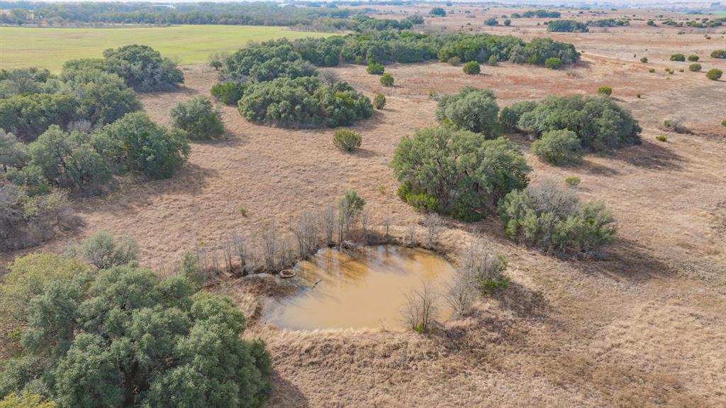 DISNEY RICHARD - Farm