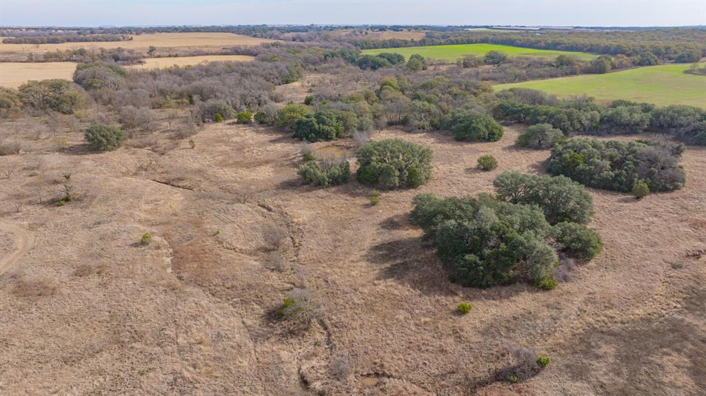 DISNEY RICHARD - Farm