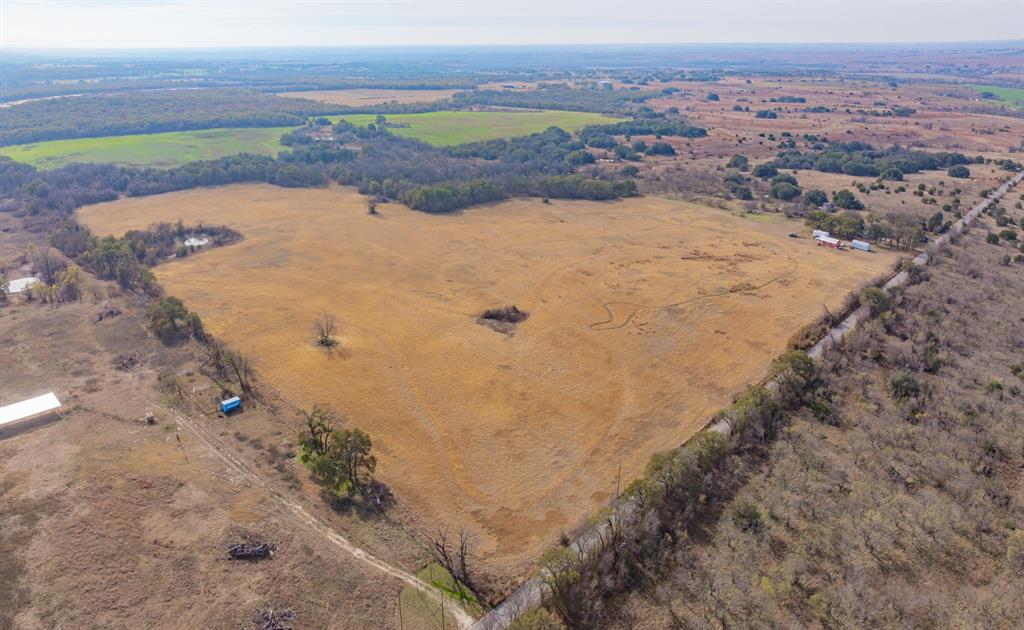 DISNEY RICHARD - Farm