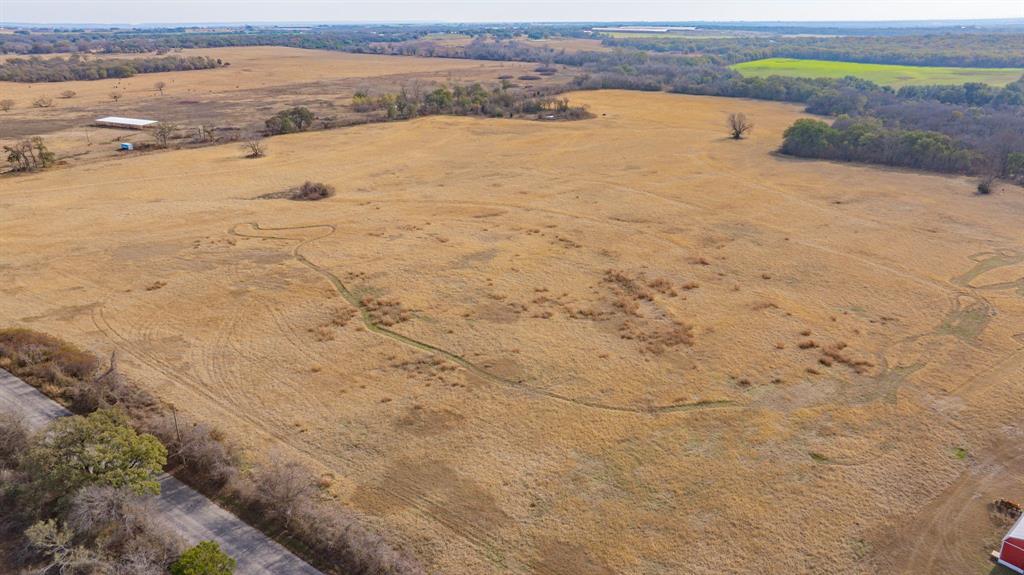 DISNEY RICHARD - Farm