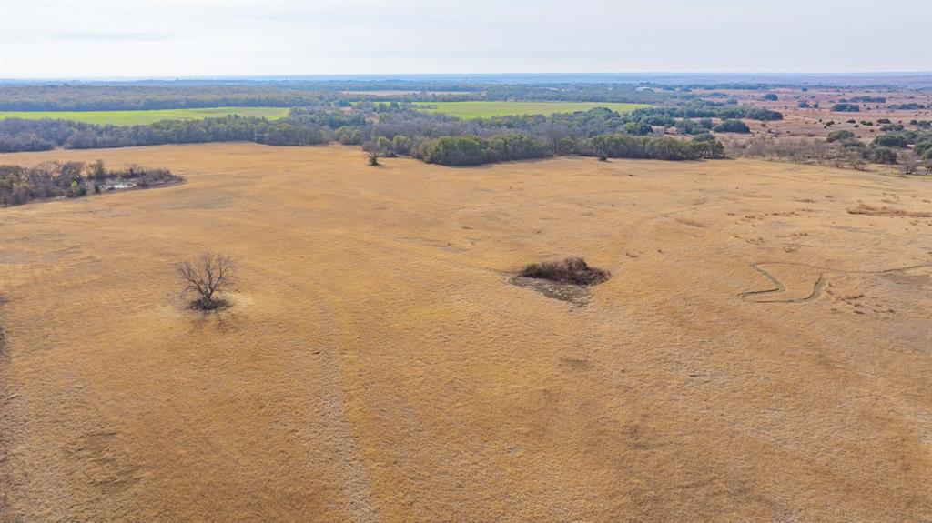 DISNEY RICHARD - Farm